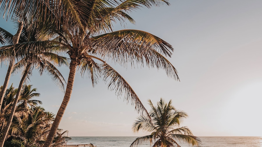 Art Village Tulum