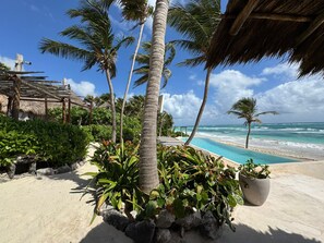 A beachside resort with a swimming pool, palm trees, and a view of the ocean.