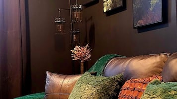 Smart TV, fireplace, books