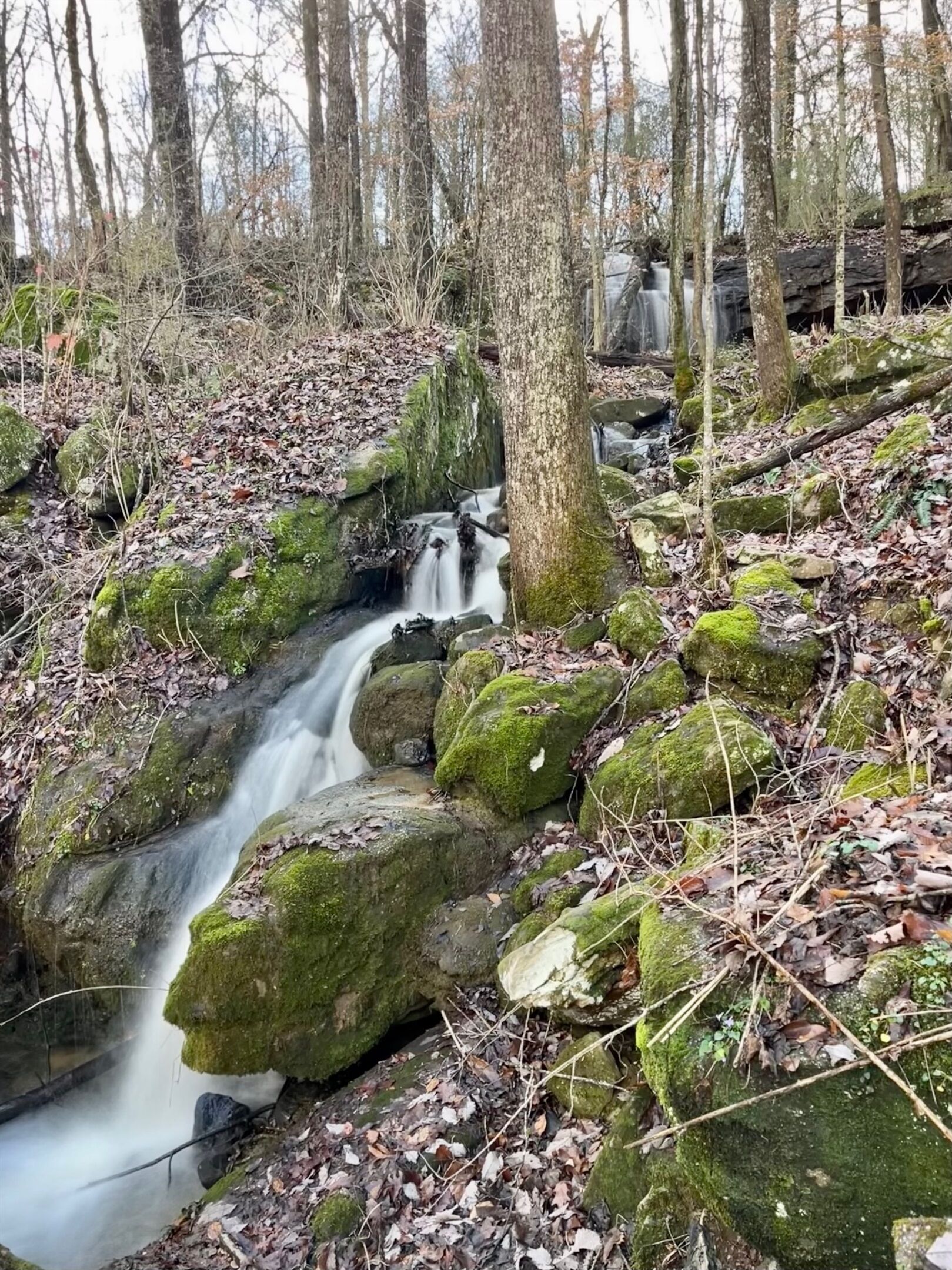 A natural setting with a small waterfall, surrounded by rocks and trees.