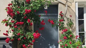 Una casa con una puerta oscura, un pequeño porche y un jardín con flores rojas.