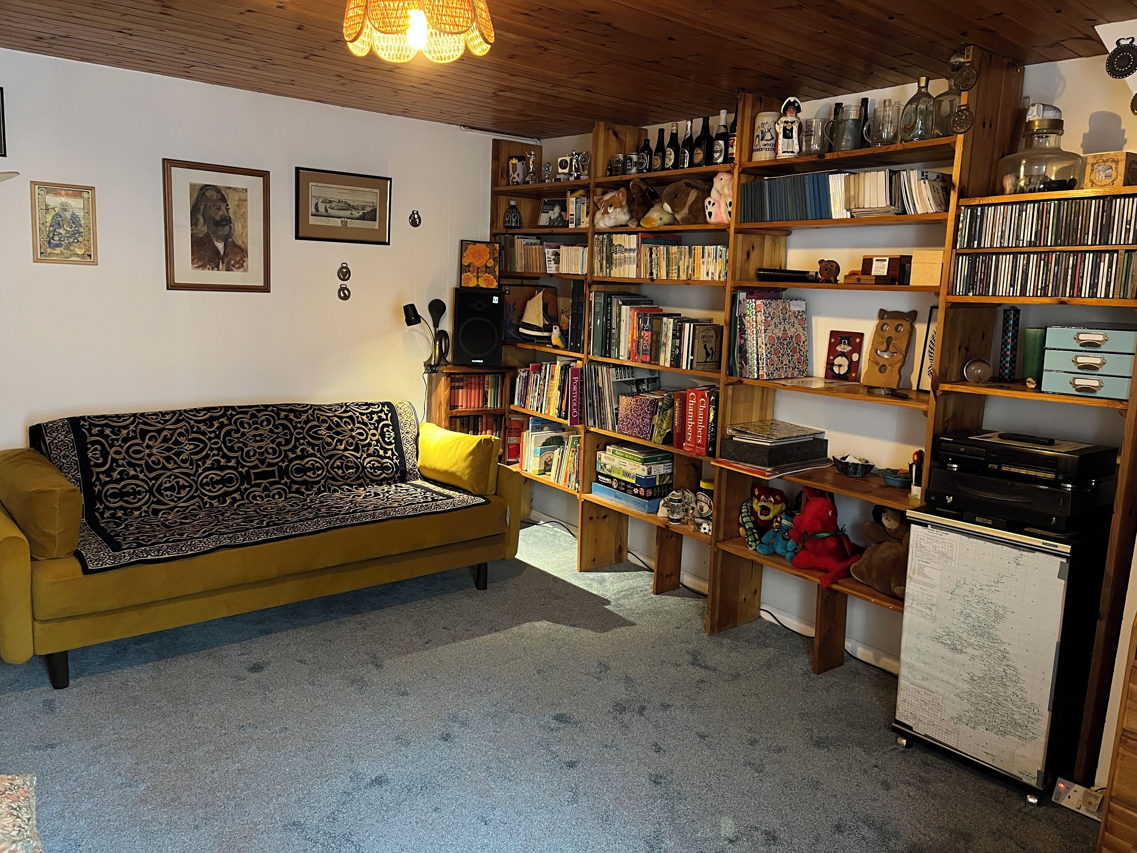 TV, video games, DVD player, books