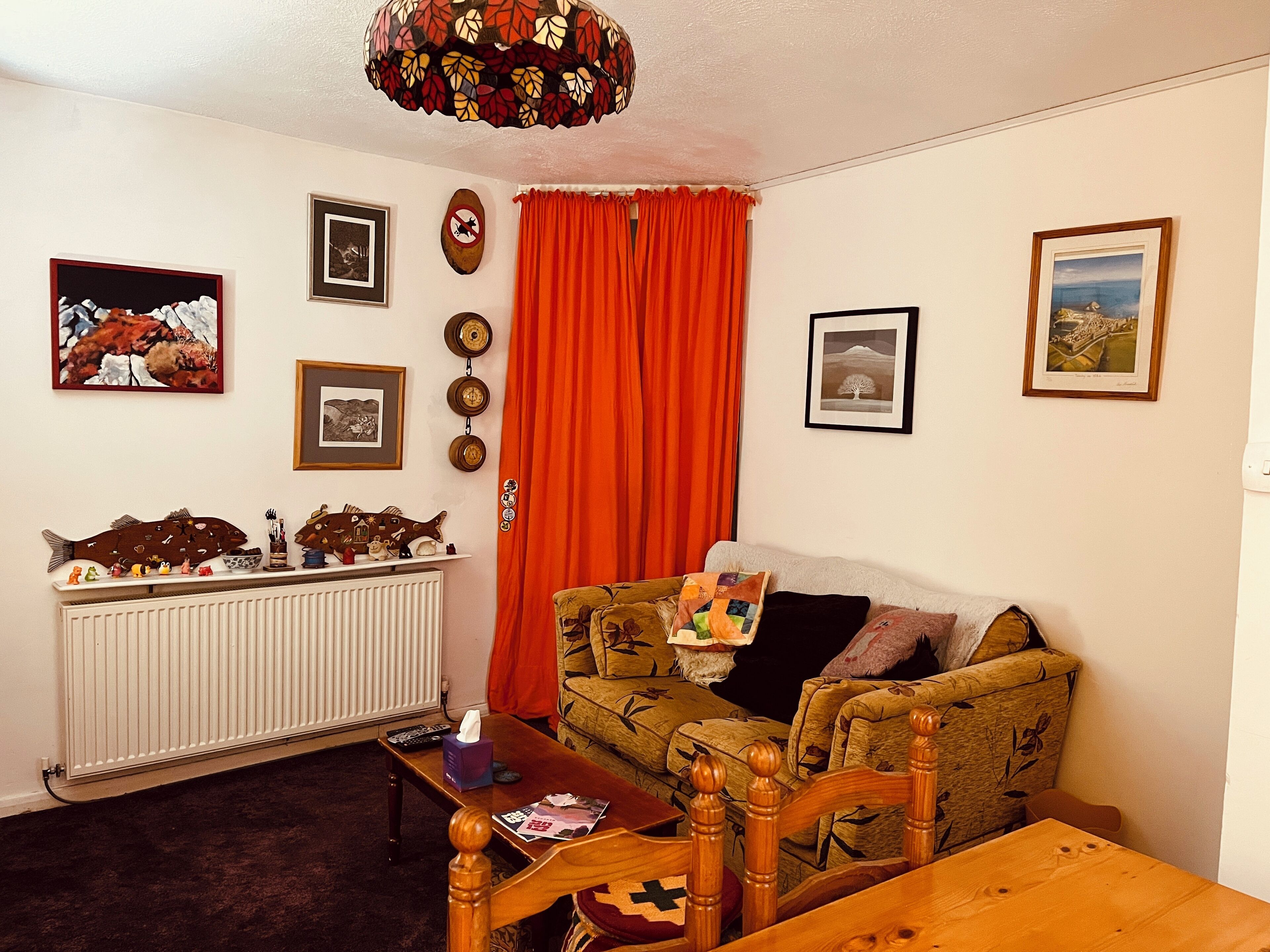 Een televisie, videogames, een dvd-speler en boeken