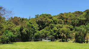 Sports court
