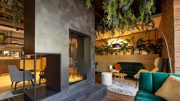 A modern interior with a fireplace, seating area, and indoor plants. - Chalet With a Dishwasher, in a Car-free Park (Vlierden)