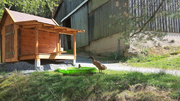 Property grounds - Reiterhof Finkenmühle apartment Romano with balcony (Weißenstadt)