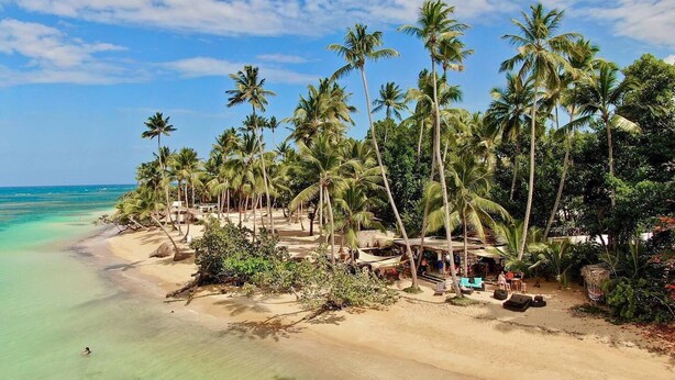 Una playa con palmeras, agua turquesa cristalina y una orilla arenosa.