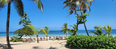 Plage, chaises longues, serviettes de plage