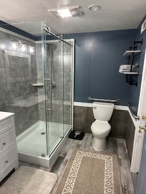 Bathroom features a glass-enclosed shower, handheld showerhead, and control panel, as well as a toilet with grab bar and a white sink with countertop.