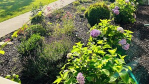 Een verzorgde tuin met diverse planten en bloemen, een gazon en een pad naar een gebouw.