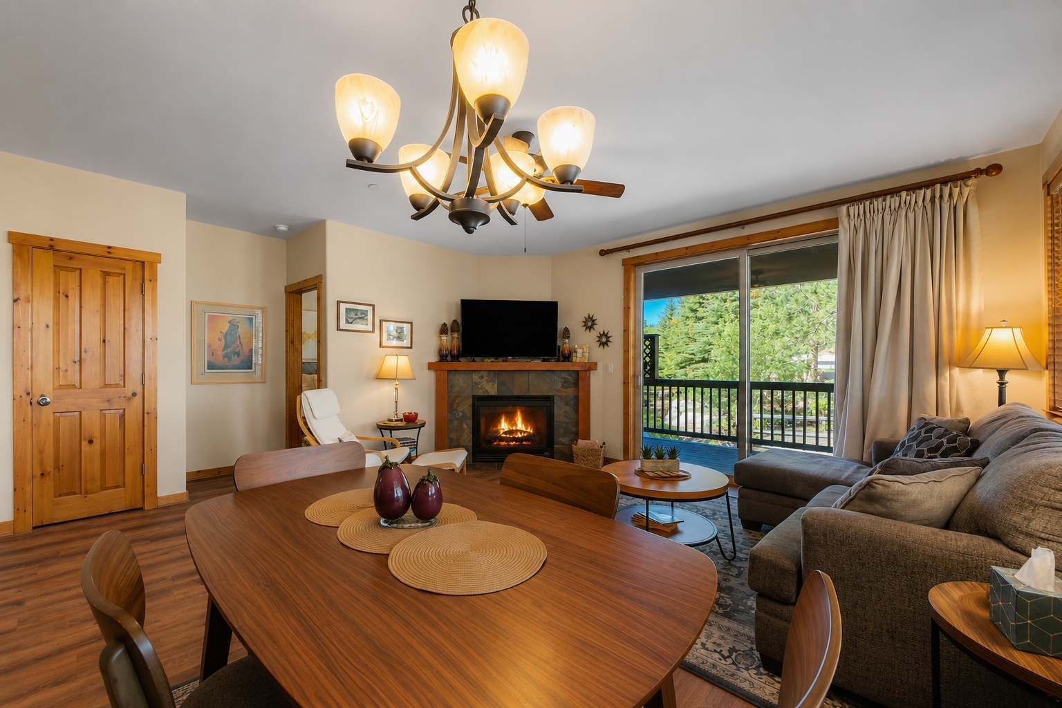 TV, fireplace, DVD player