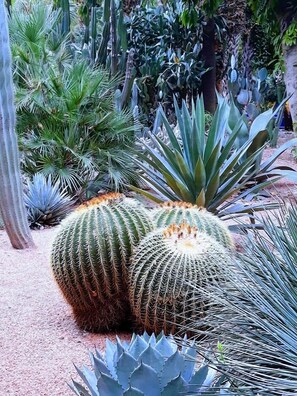 Point of interest - DAR HISANE (Oulad Hassoune)