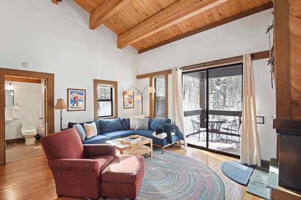 TV, fireplace, DVD player