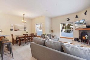 TV, fireplace, video games, DVD player