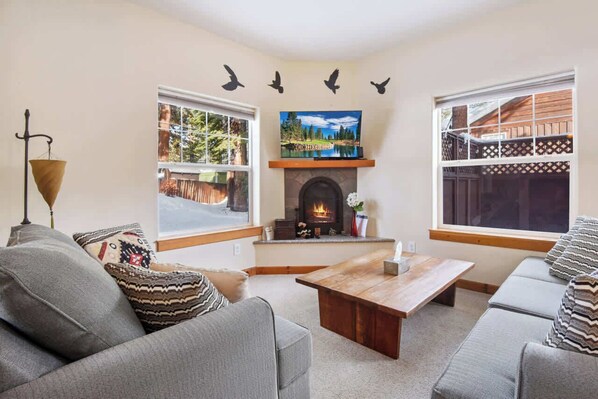 TV, fireplace, video games, DVD player