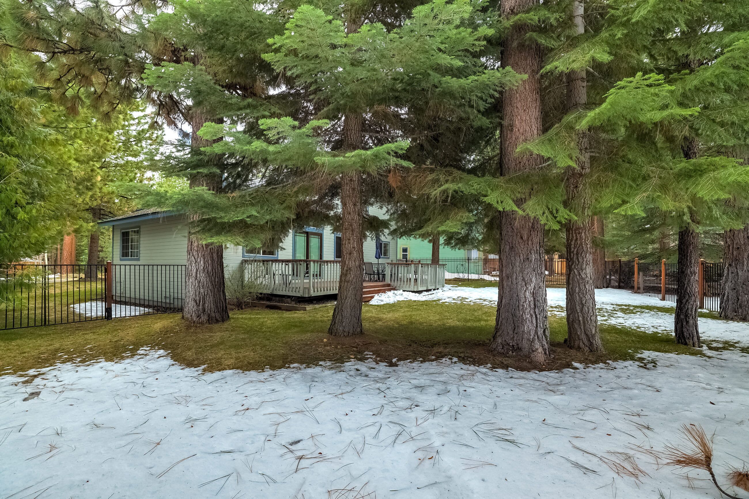 A cabin surrounded by tall evergreen trees with a snow-covered ground.