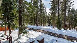 A snowy forest path with tall trees and a wooden fence.