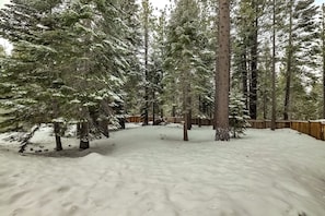 Escape to a serene forest retreat surrounded by tall evergreen trees and a peaceful snow-covered landscape.