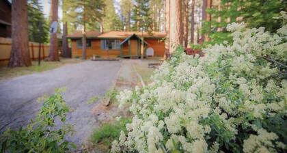 Whispering Pines Cabin - Family and pet friendly abode