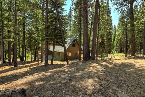 A cabin surrounded by tall pine trees in a forest. - Bear Pause 4BR | Large Deck & Balcony (South Lake Tahoe)