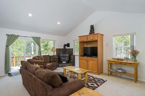 TV, caminetto, videogiochi, lettore DVD