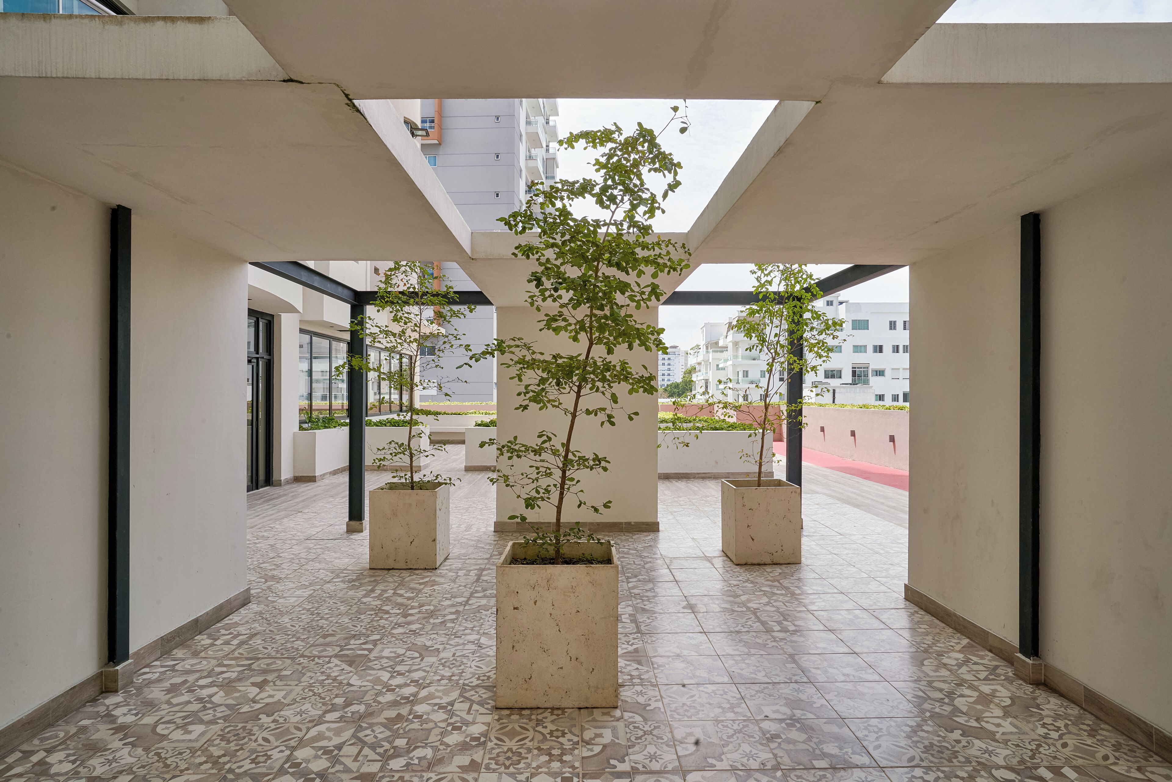 Un pasillo con piso de baldosas, plantas en macetas y tragaluz.