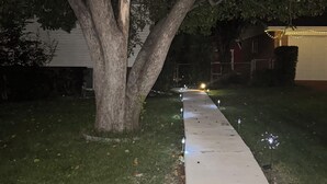 A pathway lined with trees and a house in the background.