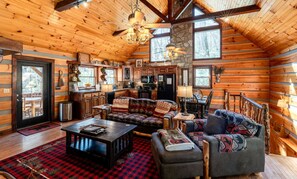 Televisie, een open haard, een dvd-speler en boeken