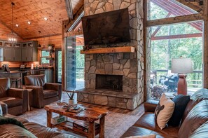 TV, fireplace, DVD player, books