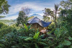 A rustic wooden structure with a thatched roof surrounded by dense tropical foliage and a mountain in the background.