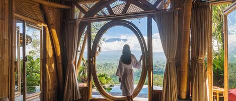 Vista desde la habitación