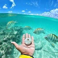 Una mano sostiene un objeto pequeño y redondo con un agujero en el centro, rodeado de agua azul cristalina y peces.