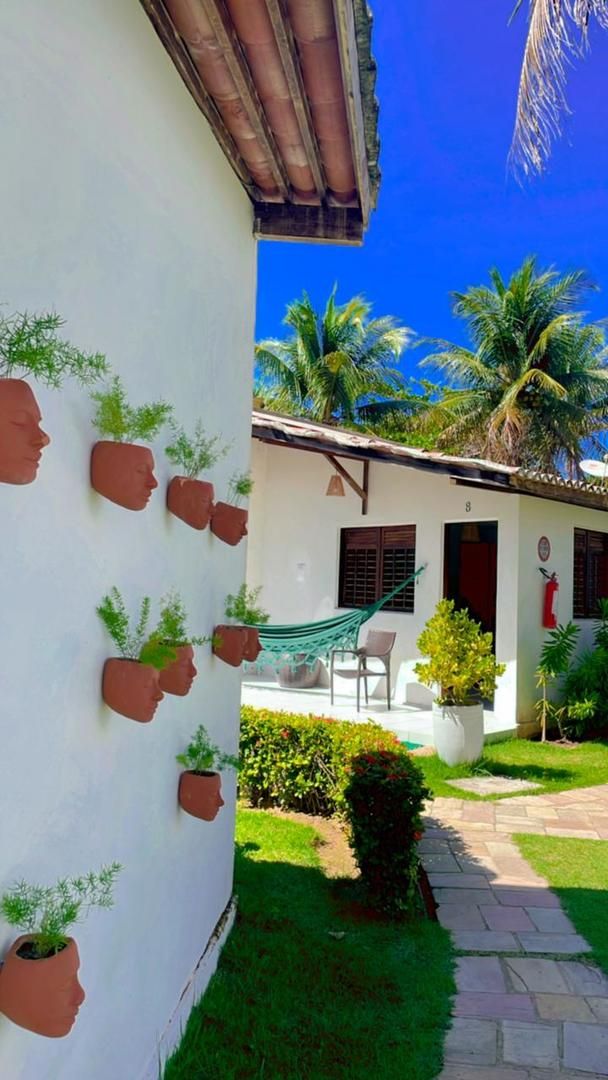 Un edificio blanco con numerosas plantas en macetas en la pared exterior, un pequeño patio con una hamaca y un cielo azul despejado con palmeras al fondo.