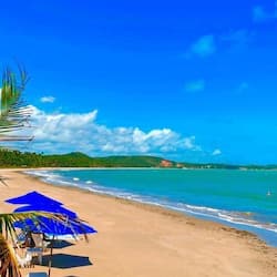 Plage, sable noir, bar de plage