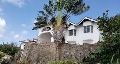 Lovely studio with WiFi in Cool, Cool Mandeville