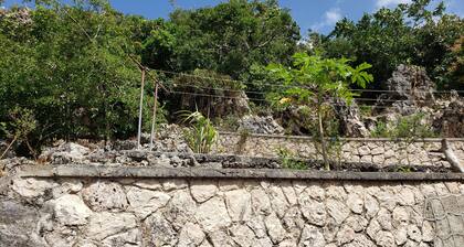 Lovely studio with WiFi in Cool, Cool Mandeville