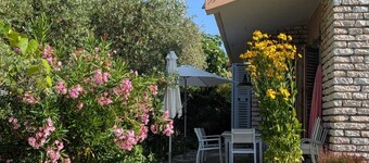 Stilv. Haus mit gr. Garten in See-/Ortsnähe: DIE Family-Oase f. gr/kl 2/4-Beiner