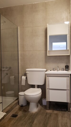 Hair dryer, towels, soap, toilet paper - House for 10 pax, with swimming pool, a few meters from Parque General San Martin, in the city. (Mendoza)