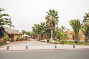 Un resort con palmeras, un edificio de techo de paja y un camino pavimentado.