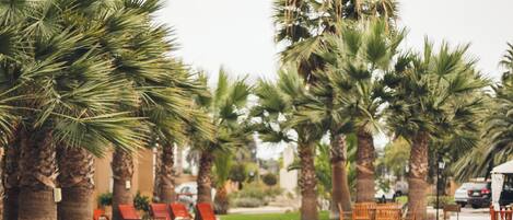 Una piscina al aire libre, sillones reclinables de piscina