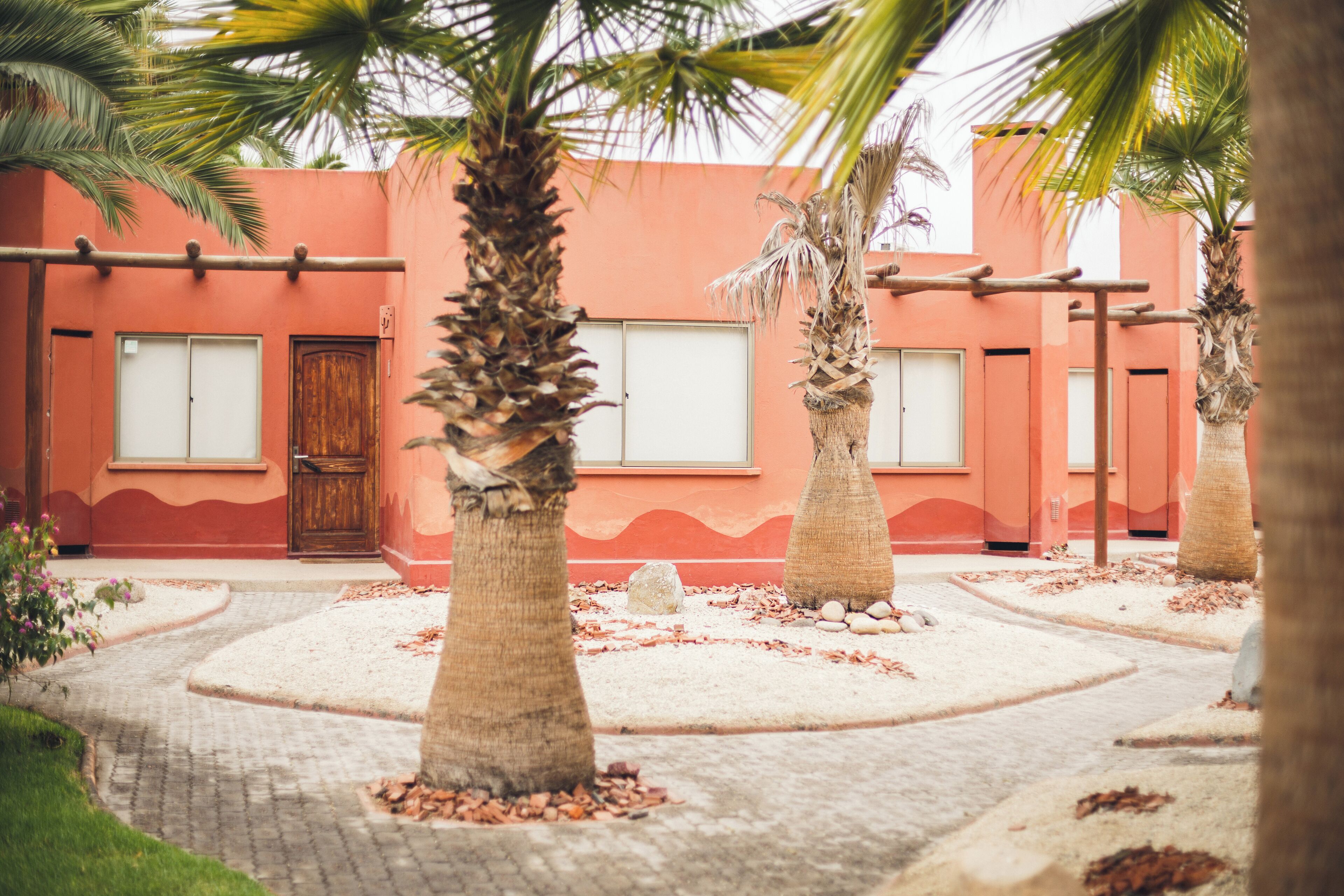 Un patio con palmeras, un sendero de ladrillo y un edificio de fachada roja y puertas blancas.