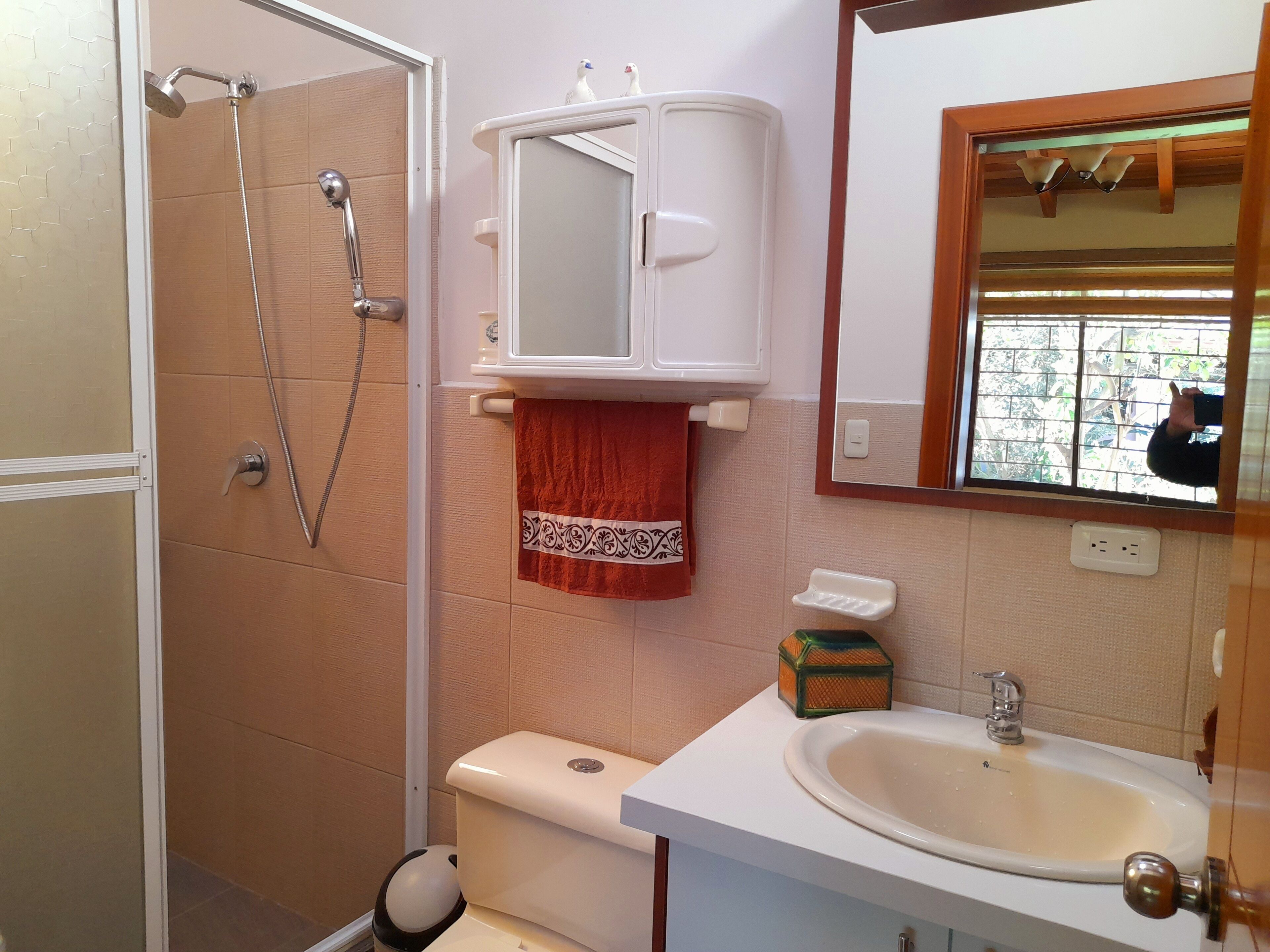 Un baño con ducha, inodoro, lavamanos y espejo.