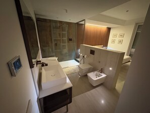 Ducha, secador de pelo, bidé y toallas