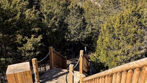 A wooden staircase leading up to a viewing platform surrounded by dense trees.