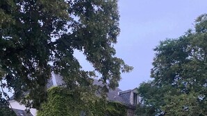 Una casa con muros cubiertos de hiedra y un jardín con flores y sillas.