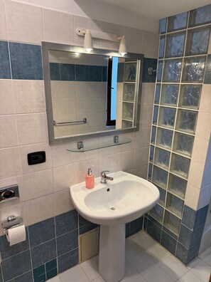 Shower, hair dryer, towels, toilet paper