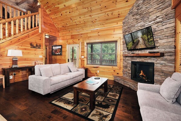 TV, fireplace, video games, DVD player