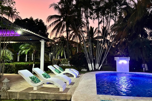 Welcome to Tropical Zen