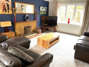 智能电视、壁炉