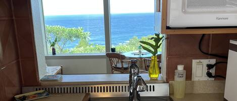 Uma cozinha com uma pia de aço inoxidável, um micro-ondas Kenmore e uma janela com vista para o mar.